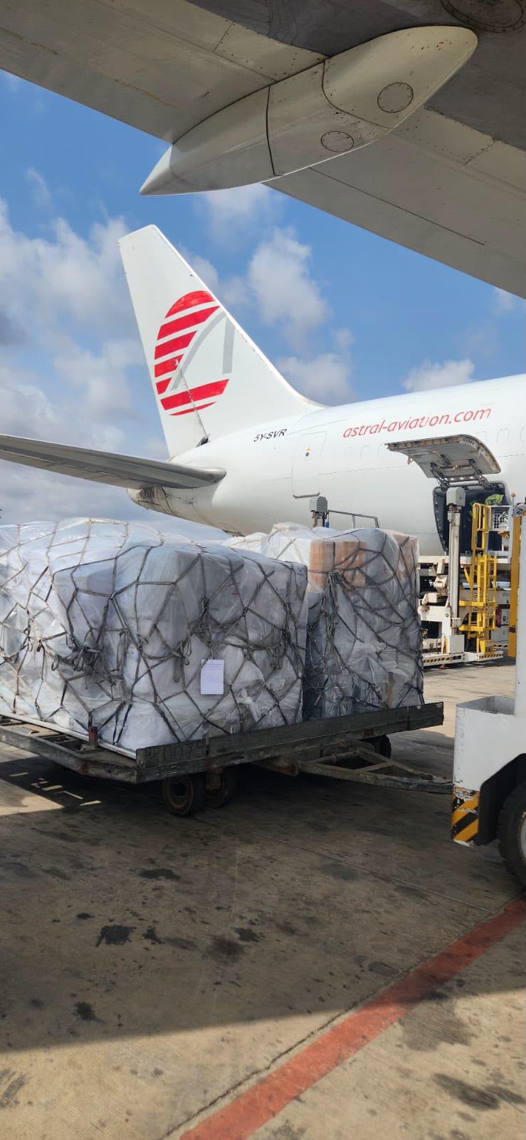 Palettes de fret sur chariot devant un avion cargo à la soute ouverte