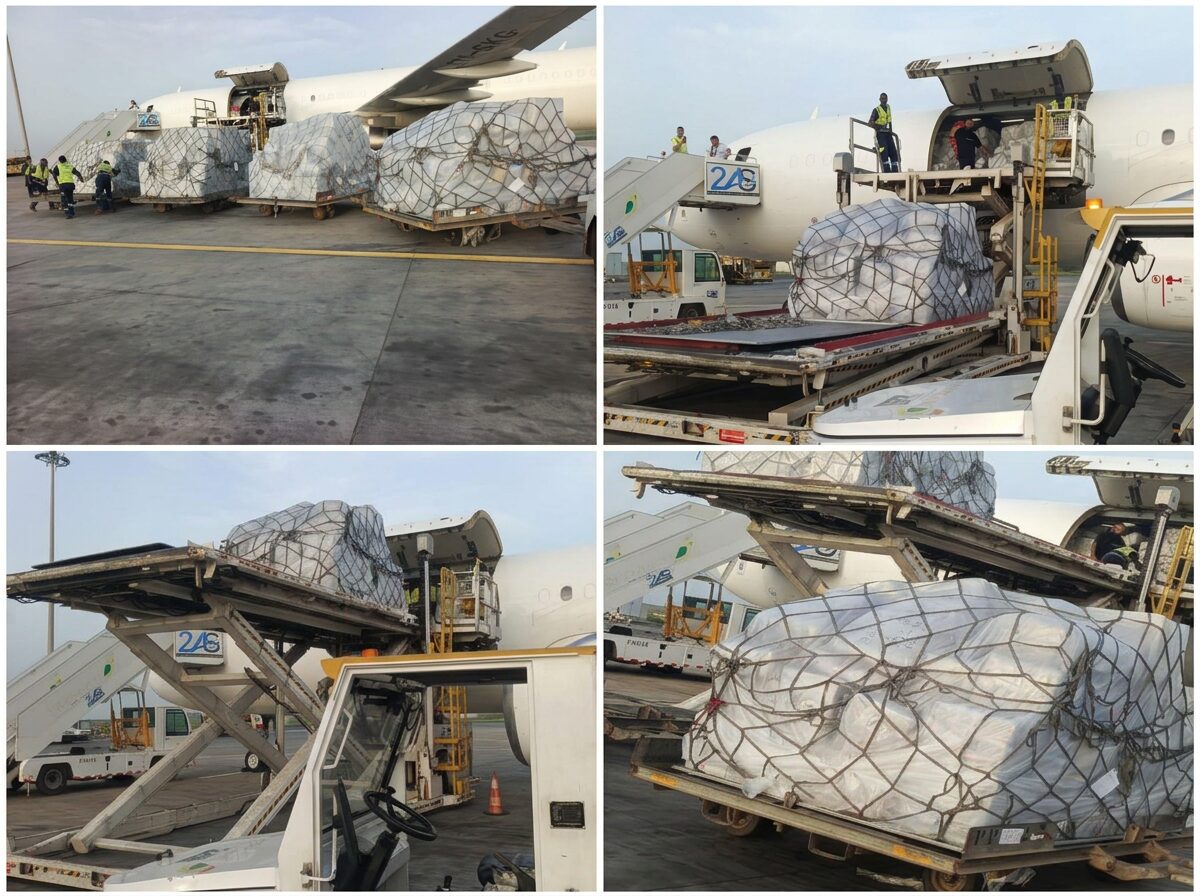 Chargement de fret aérien : palettes filetées sur le tarmac, rampe élévatrice et soute de l'avion